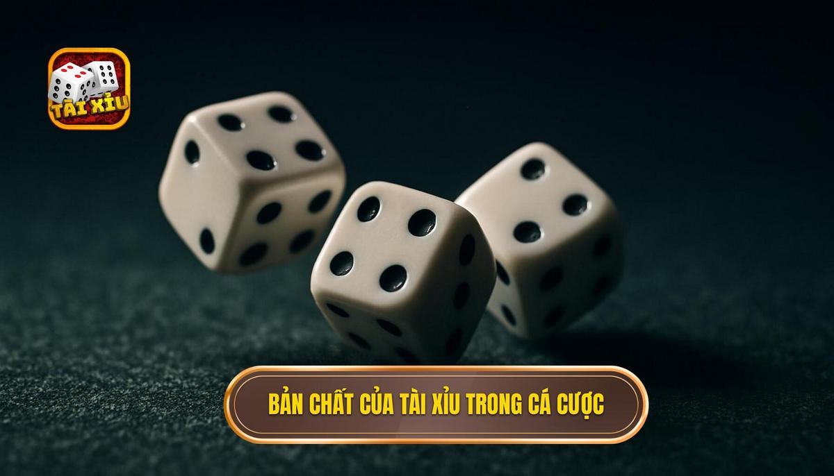 Bản chất của tài xỉu hòa trong các loại hình cá cược phổ biến