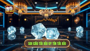soi cầu tài xỉu hôm nay