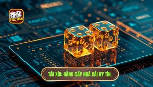 hack tài xỉu online có thật không