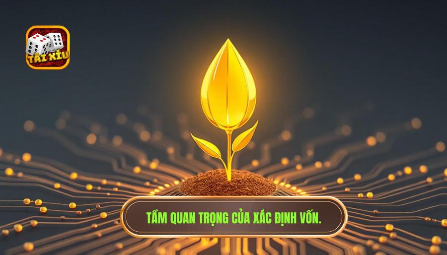 Tại sao việc xác định vốn lại quan trọng đến vậy?